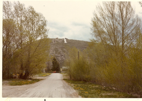 A dirt road leads towards a hill with large white letters visible on its slope. Trees line both sides of the road, with a mix of leafy and bare branches. The surrounding area is grassy with some yellow flowers. A few vehicles or structures can be seen at the top of the hill.