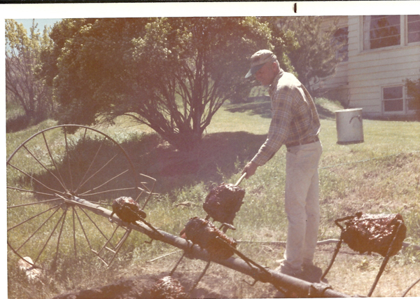 A man wearing a cap and plaid shirt stands in a grassy area with bushes and trees in the background. He is handling a large piece of meat on a spit, which is mounted on a metal structure. A circular metal wheel is visible nearby, and a building with windows is partially seen on the right.