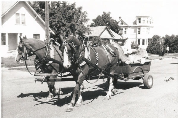 A man wearing a hat sits in a horse-drawn wagon. Two horses are harnessed to the wagon, walking along a street. In the background are houses with trees nearby, and a person can be seen standing on the sidewalk.
