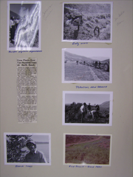 Five images are arranged on a page with captions and a newspaper clipping. 

Top left: Three people standing while a ranger explains improvements. Annotation reads "Ranger explains improvements."

Top right: Two people working in a field with a tractor nearby. Caption reads "Gully work."

Middle right: A group planting in a field with tractors visible. Caption reads "PLANTING new GROUND."

Bottom left: Someone standing near trees. Caption reads "Beach Trees."

Bottom right: A landscape with vegetation. Caption reads "End Result - Good FEED."

A newspaper clipping discusses planting over two hundred trees at North Beach.