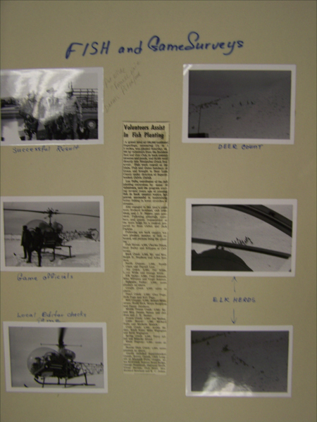 A collection of six photographs accompanied by text, labeled "FISH and GameSurveys." 

Top left image: Two individuals with a vehicle and equipment, captioned "Successful Result." 

Top right image: A landscape with scattered figures, captioned "DEER COUNT." 

Middle left image: Individuals standing near a helicopter, captioned "Game officials." 

Middle right image: Arial view of a snowy landscape, captioned "ELK HERDS." 

Bottom left image: A helicopter in flight, captioned "Local Editor checks game." 

A newspaper article titled "Volunteers Assist In Fish Planting" is positioned centrally, with handwritten notes nearby.