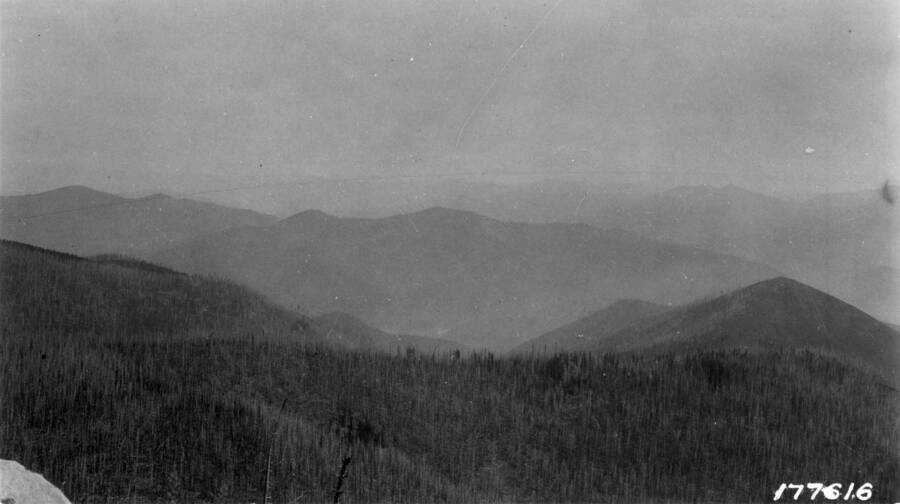 View of burnt over ridge top