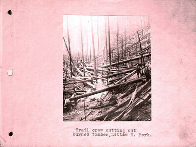 Image labeled "Trail crew cutting out burned timber, Little N. Fork" taken following forest fire of 1910