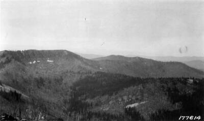 View of burnt over Fish Hook Creek in St. Joe country