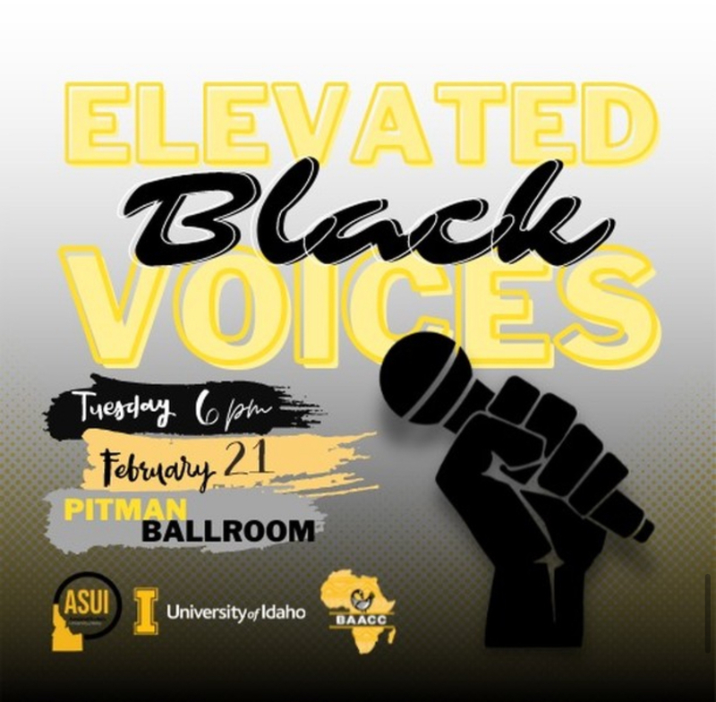 2nd Elevated Black Voices event post.
