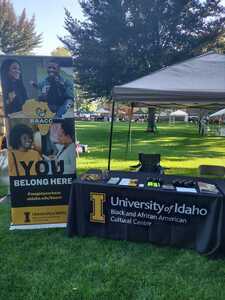 The BAACC table with promotional material at a park.