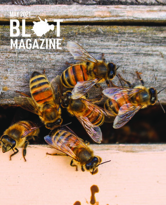 A stressed-out student guide to houseplants; Alternative native hunting in the gem state; Fire!: Keeping up with the bees; Your guide to getting outside; Focused on fish; The arboretum; Ruffled feathers