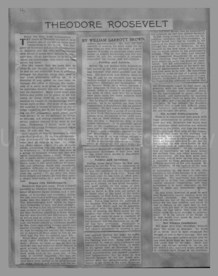 Politics - Campaign of 1904, Page 8