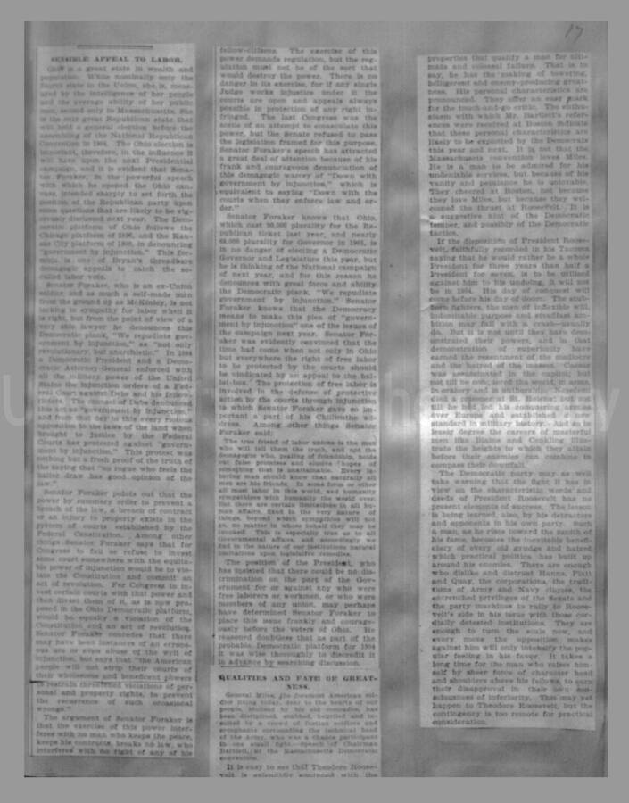 Politics - Campaign of 1904, Page 17