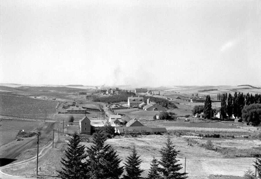 1933 panoramic photograph of University farms. The view is looking south the back side of the greenhouses in the center of photo. [PG1_001-10]