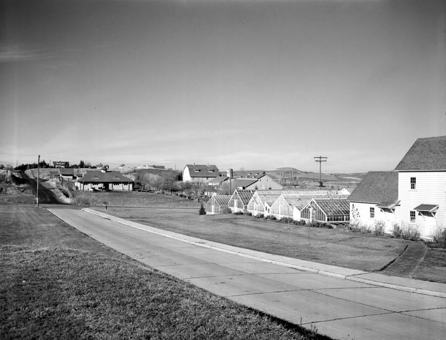 1945 panoramic photograph of University farms. Greenhouses on the right. [PG1_001-12]