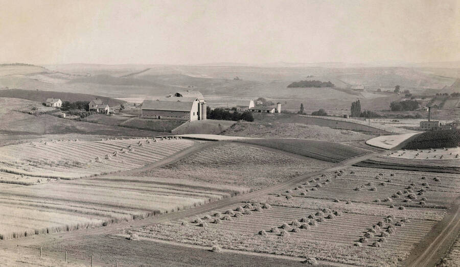 1917 panoramic photograph of University farms. Haystacks in the foreground. Donor: Hodgins. [PG1_001-13]