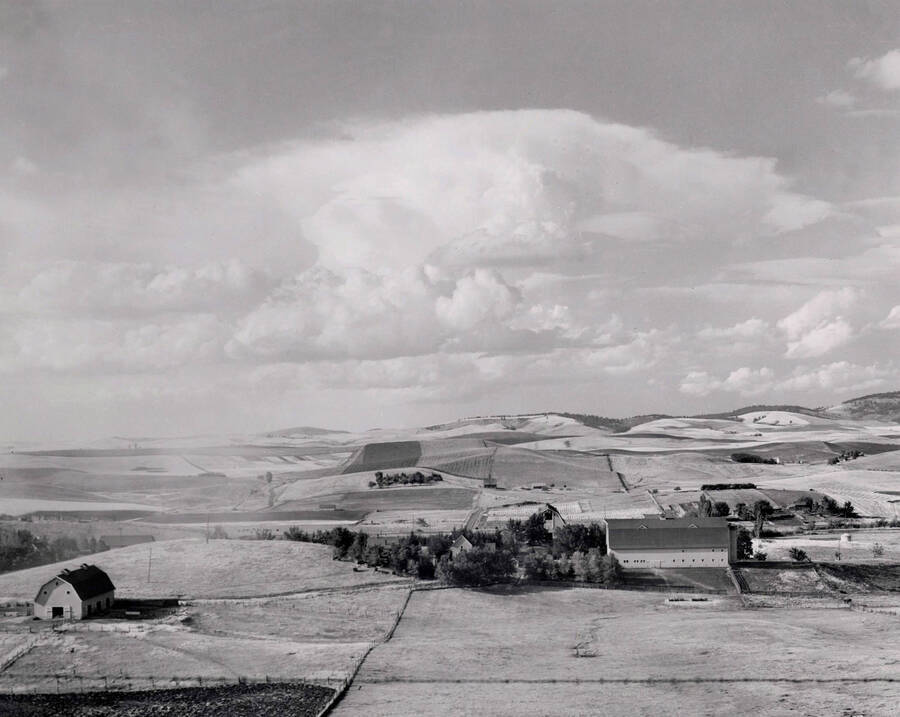 1940 panoramic photograph of University farms. Donor: Publications Dept. [PG1_001-06]