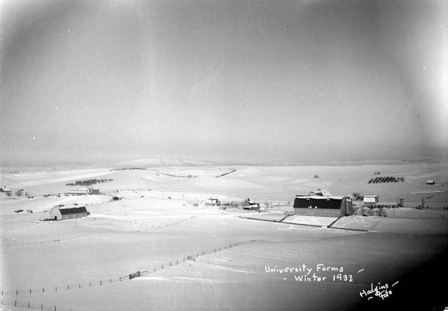 1932-01-01 panoramic photograph of University farms in winter. Donor: Hodgins Foto, Moscow. [PG1_001-07]