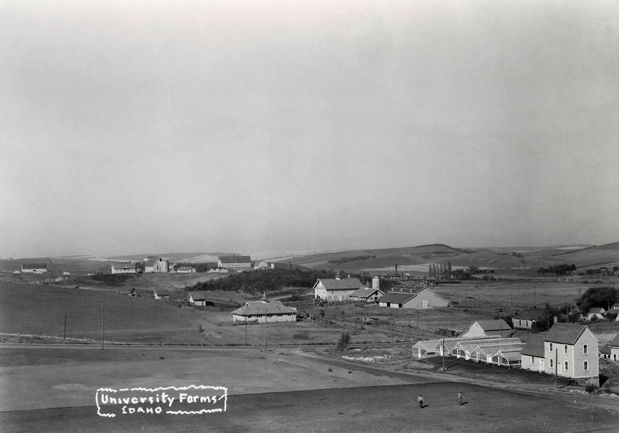 1933 panoramic photograph of University farms. Greenhouses visible to the right. Donor: Hodgins. [PG1_001-09]