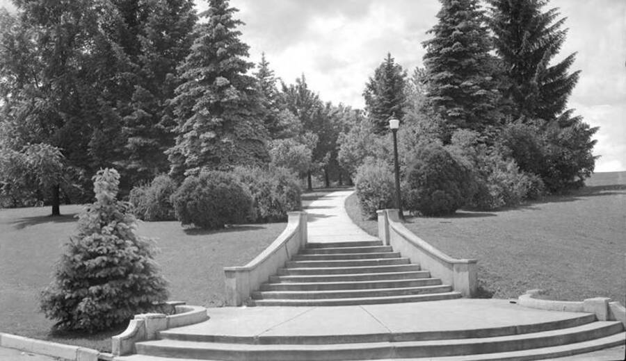 1948 photograph of the Hello Walk steps. [PG1_102-18]