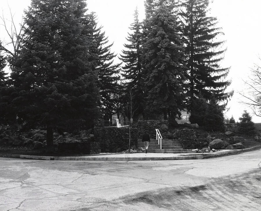 1961 photograph of the Hello Walk steps. Trees in background. [PG1_103-01]