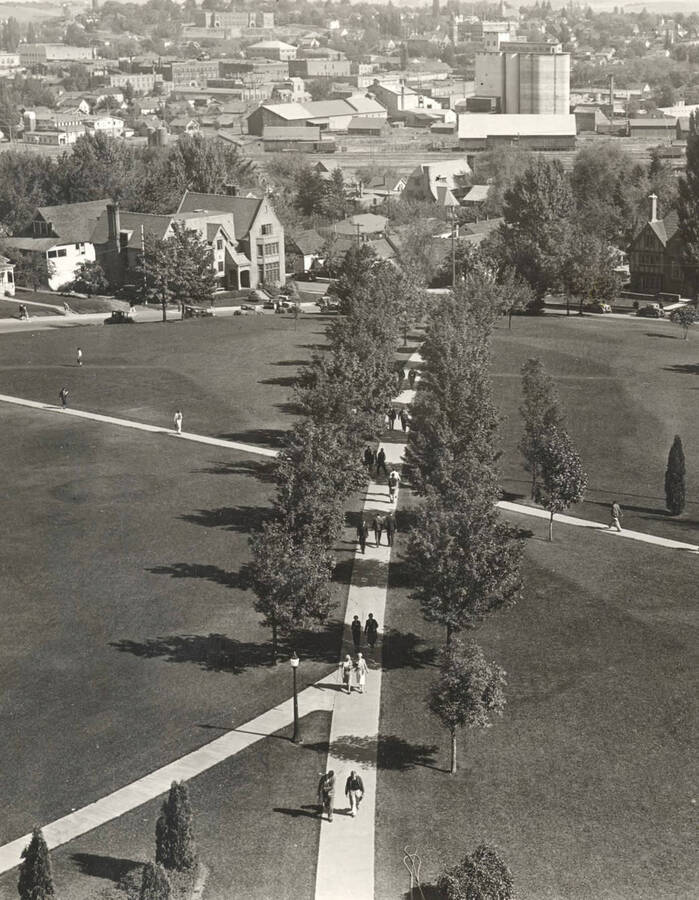 1930 photograph of the Hello Walk. Students walk along path. [PG1_104-01]
