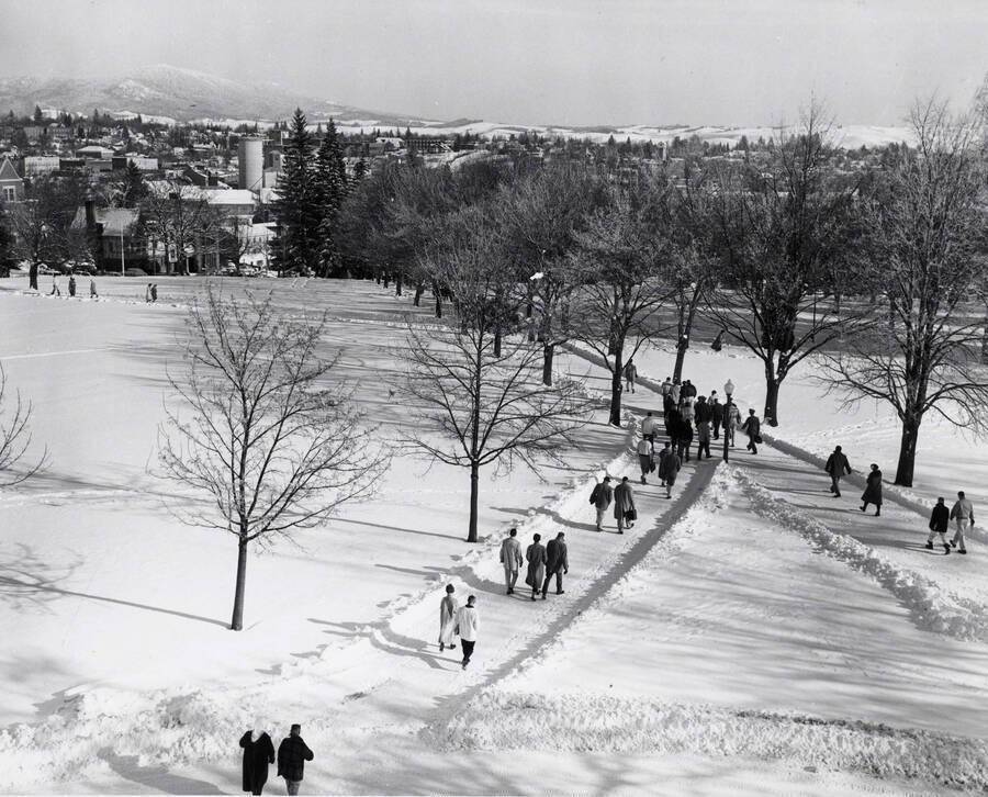 1960 photograph of the Hello Walk. Snow covers the scene. [PG1_104-04]