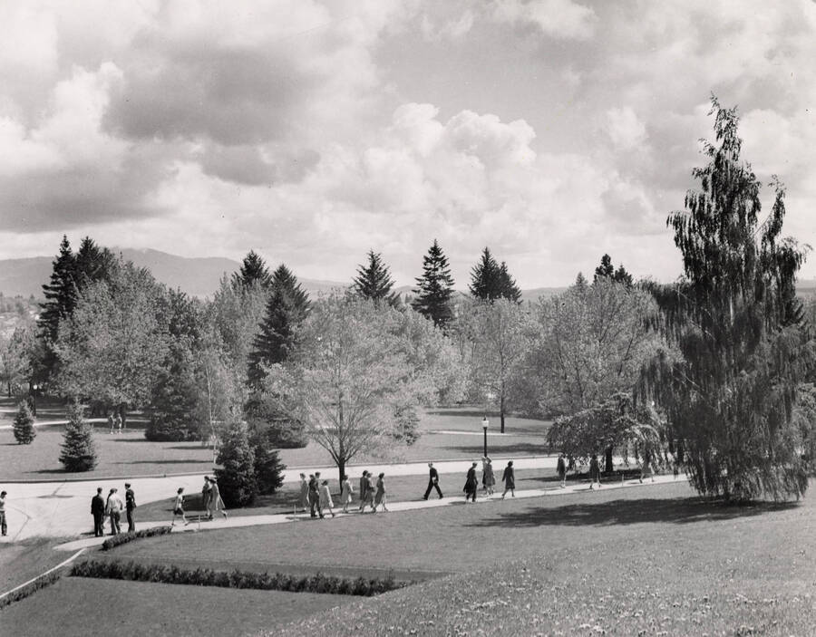 1941 photograph of Hello Walk. Trees in background. Donor: Publications Dept. [PG1_104-09]