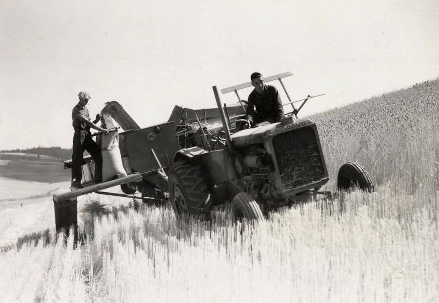 1940 photograph of University Farms. An all-crop combine harvests a field. [PG1_105-12]
