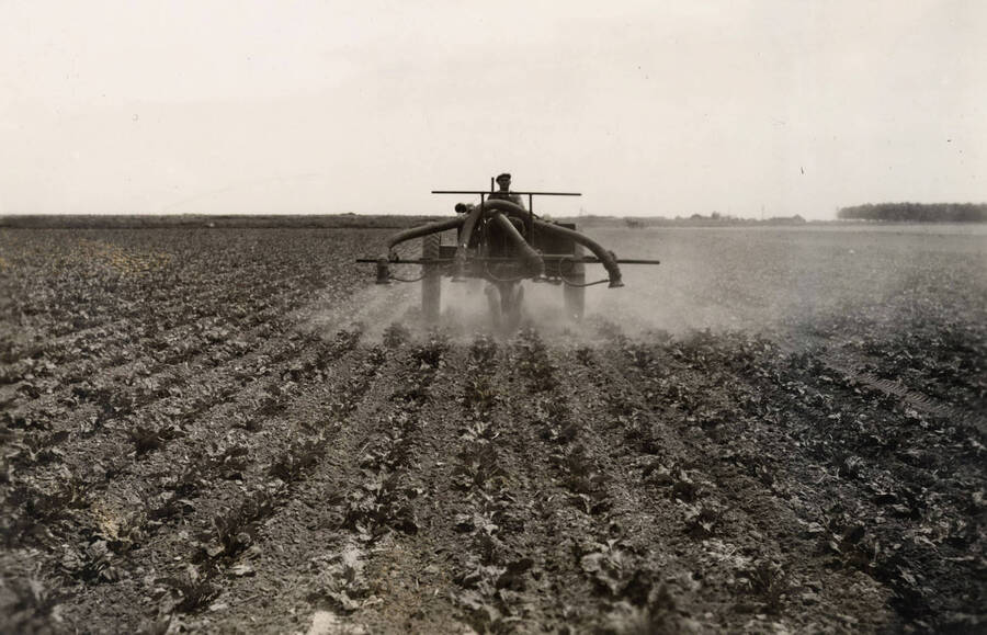 1938 photograph of University Farms. A tractor-mounted crop duster drives over a field. [PG1_105-14]