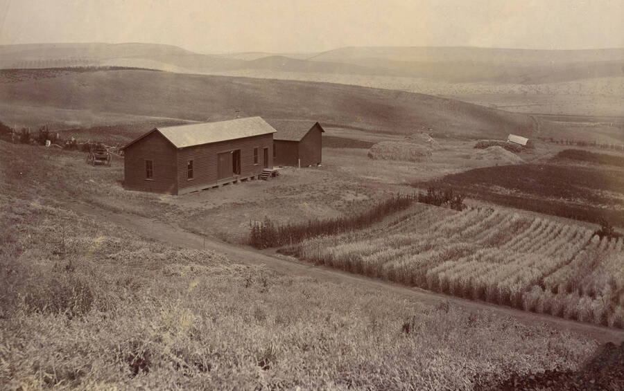 1925 photograph of University Farms. Building to the left. Donor: W.C. Edmundson. [PG1_105-20]