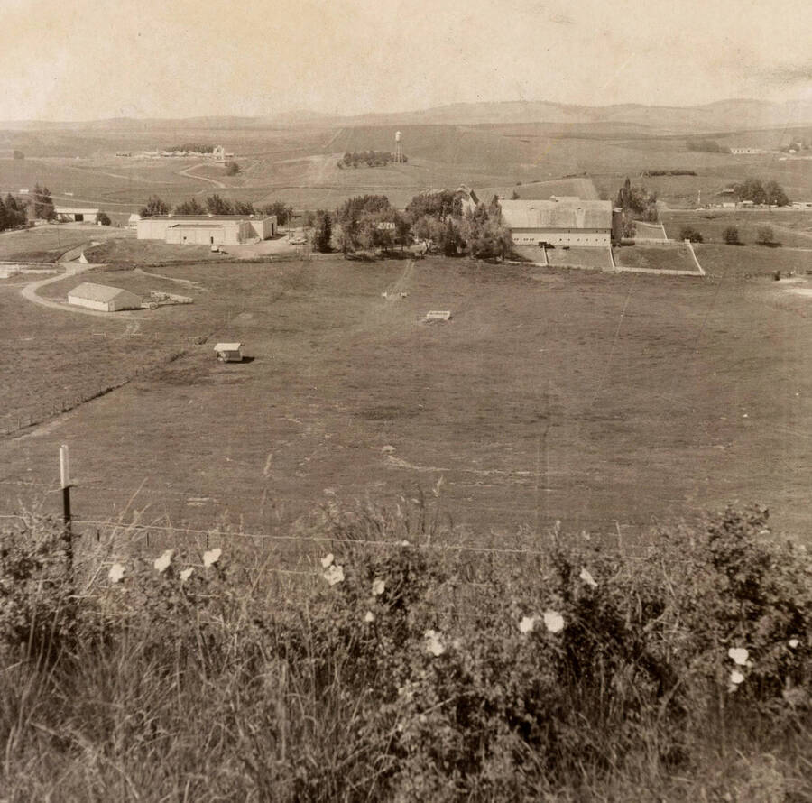 1921 photograph of University Farms. Farmhouse in background. Donor: Publications Dept.. [PG1_105-21]
