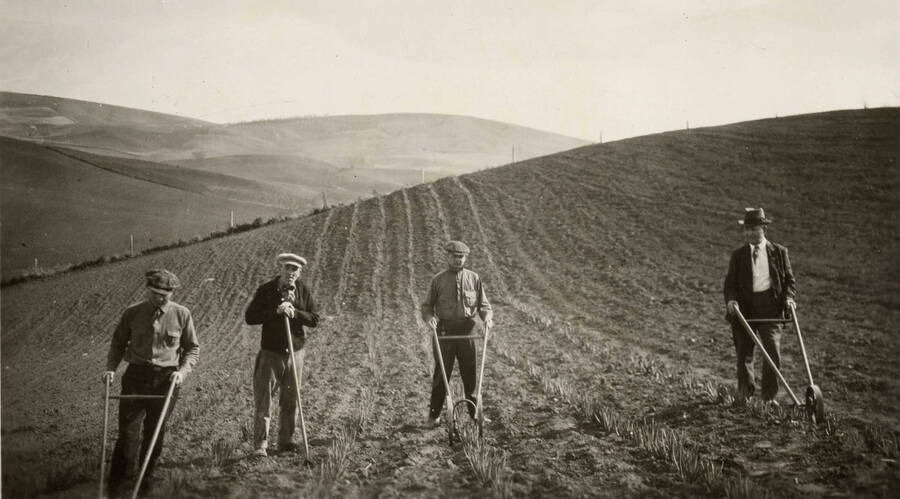 1930 photograph of University Farms. Students are using hand-cultivators on a field. [PG1_105-06]