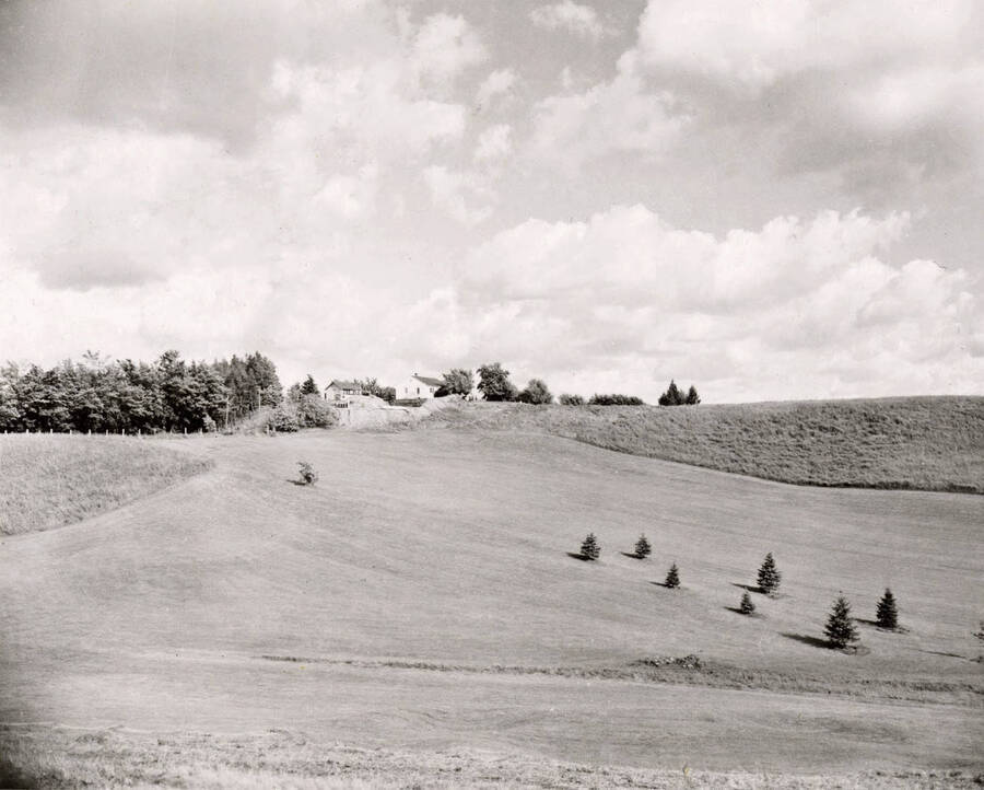 1950 photograph of the Golf Course. Houses in background. [PG1_110-01]