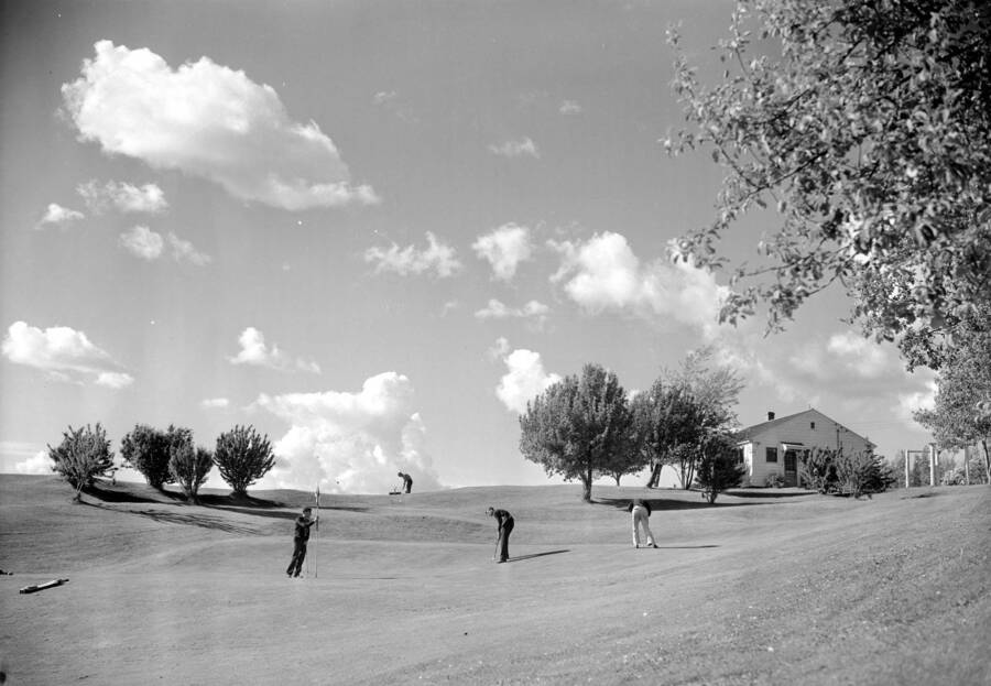 1950 photograph of the Golf Course. Players in foreground. [PG1_110-10]