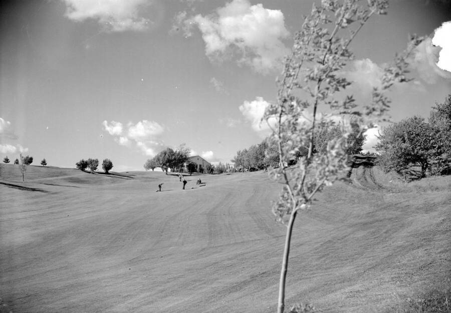 1950 photograph of the Golf Course. Players in background. [PG1_110-11]