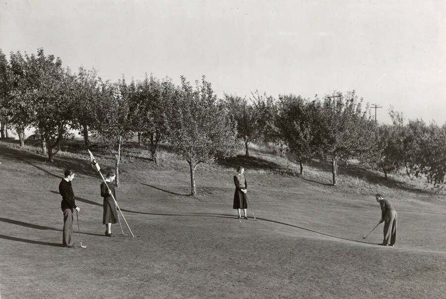 1938 photograph of the Golf Course. Trees in background. [PG1_110-04]