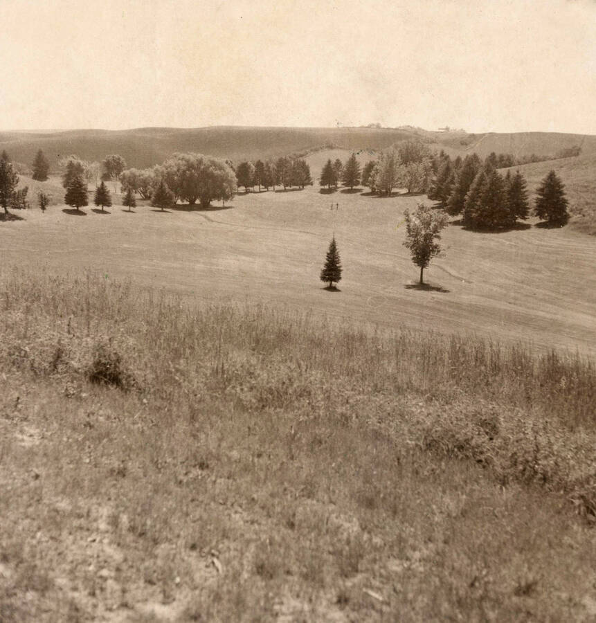 1938 photograph of the Golf Course. Trees in background. [PG1_110-05]