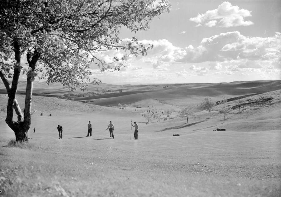 1950 photograph of the Golf Course. Players in foreground [PG1_110-08]