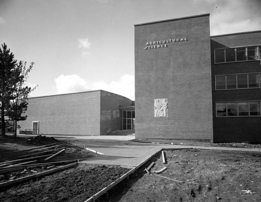 November 1, 1950 photograph of the Agricultural Science Building under construction. [PG1_111-26]