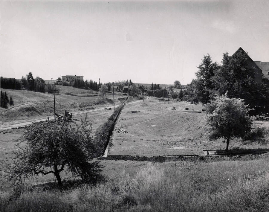 1947 photograph of homes on the South Hill. Trees in foreground. [PG1_121-01]