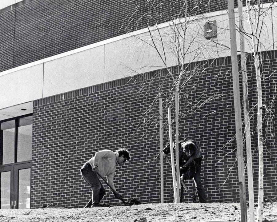 1975 photograph of Hartung Theatre. Students plant trees outside the building. [PG1_145-18]