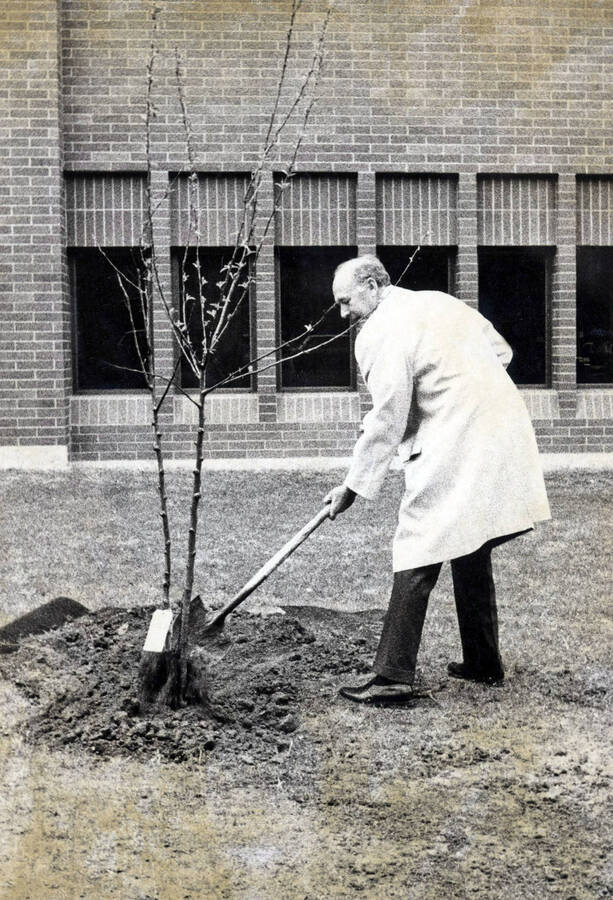 1974 photograph of the Menard Law Building. Governor Andrus plants a tree in front of the building. [PG1_162-19]
