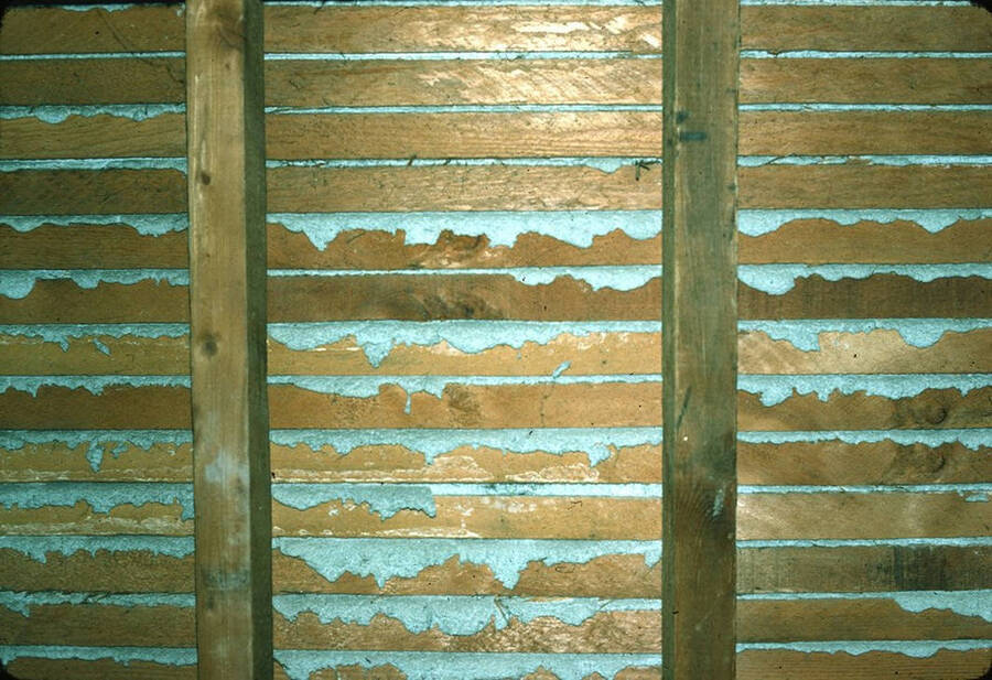 1975 photograph of Art and Architecture South during renovation. Detail of plaster lashing. Donor: Karl Roenke and Robert Weaver, 1976. [PG1_167-046]