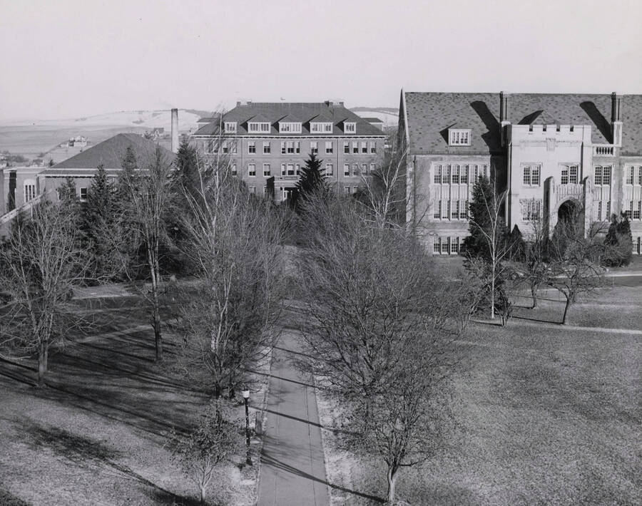 1950 photograph of the Forestry Building (Morrill Hall). Life Sciences Building in foreground. [PG1_169-02]