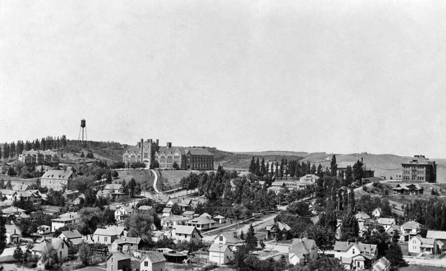 1911 panoramic photograph of University of Idaho campus. Views of Hello Walk and northeast Administration building. Donor: Mrs. Fred Skog. [PG1_002-23]