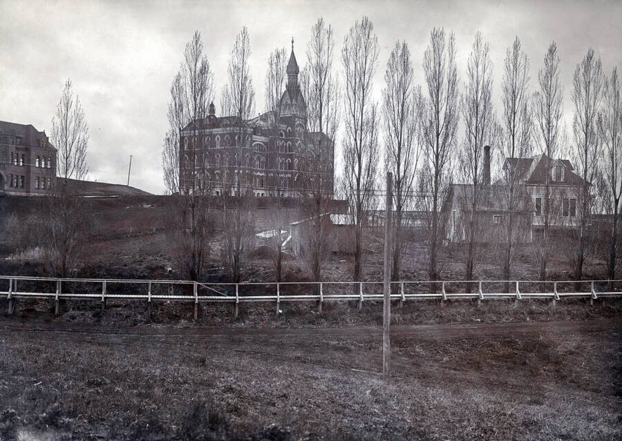 1905 panoramic photograph of University of Idaho campus. Old Administration Building viewed behind a row of Populus (genus). Donor: W.C. Edmundson. [PG1_002-26]