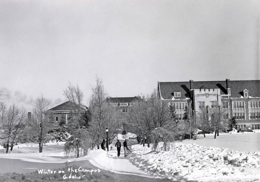University of Idaho campuses, panoramic view; Mines Building, Morrill Hall, and Science Hall; snow scene. [2-48]