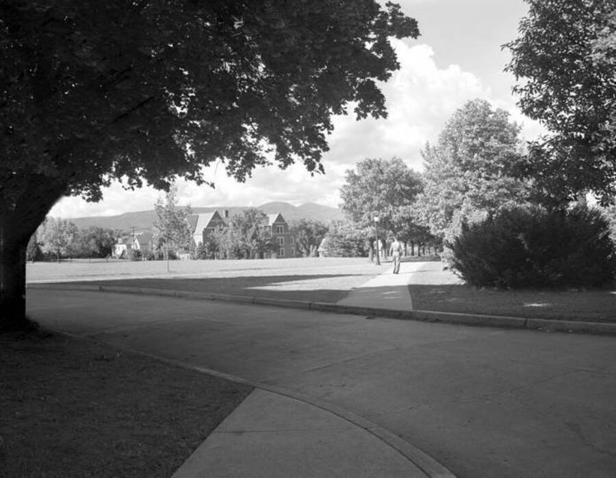 University of Idaho campuses, panoramic view from Administration toward Infirmary. [2-53]