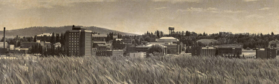 1970 panoramic photograph of University of Idaho campus. View of Theophilus Tower on the left and the water tower to the right. Donor: U of I Alumni Office. [PG1_002-63]