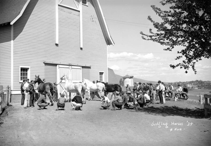 1939 photograph of horses on the University of Idaho campus. Students stand with horses outside of a barn. [PG1_204a-18]