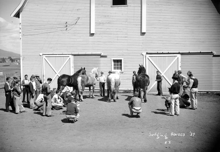1939 photograph of horses on the University of Idaho campus. Students stand with horses outside of a barn. [PG1_204a-19]
