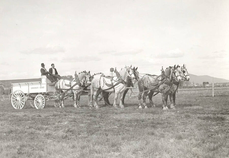 1921 photograph of horses on the University of Idaho campus. A team of horses hitched to a University of Idaho wagon. [PG1_204a-04]