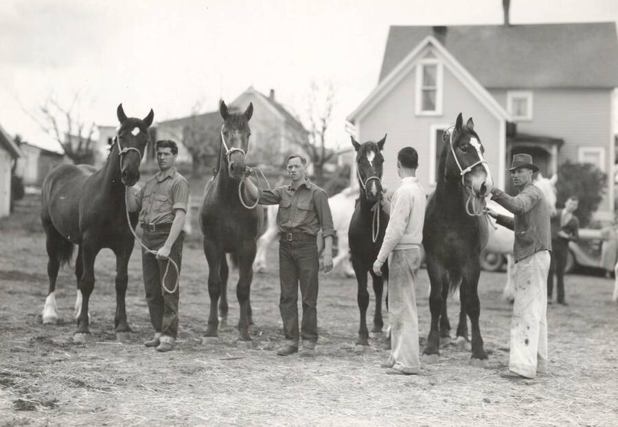 1936 photograph of horses on the University of Idaho campus. Men stand near their horses in foreground, house in background. [PG1_204a-05]